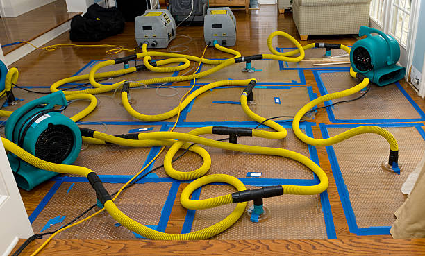Professional Storm Water Damage Restoration technician working in Redford, MI